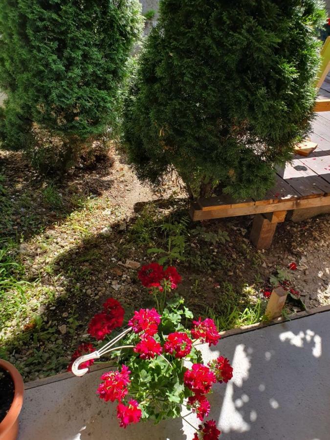 Tranzitbeds*** Apart otel Bükreş Dış mekan fotoğraf